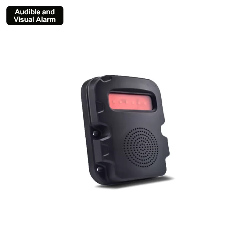 Audible and Visual Alarm